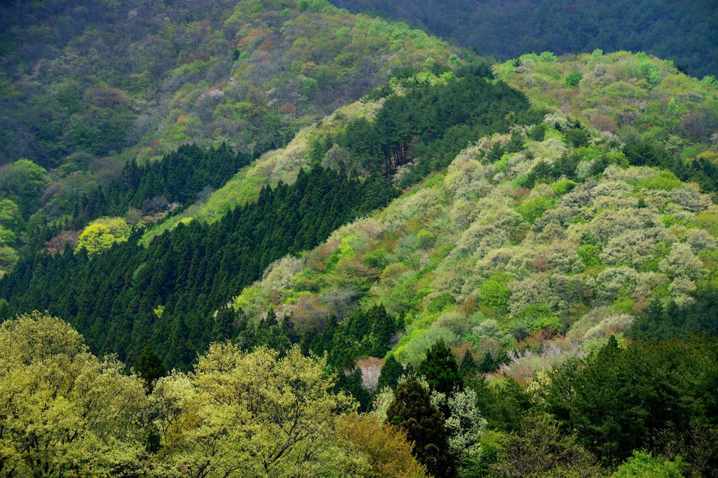 陽光が照らす風景