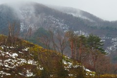 風雪に耐え抜く