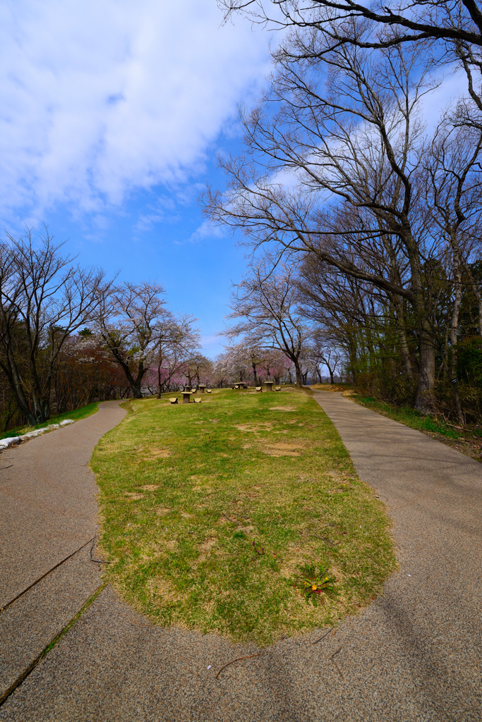 Ｕ歩道