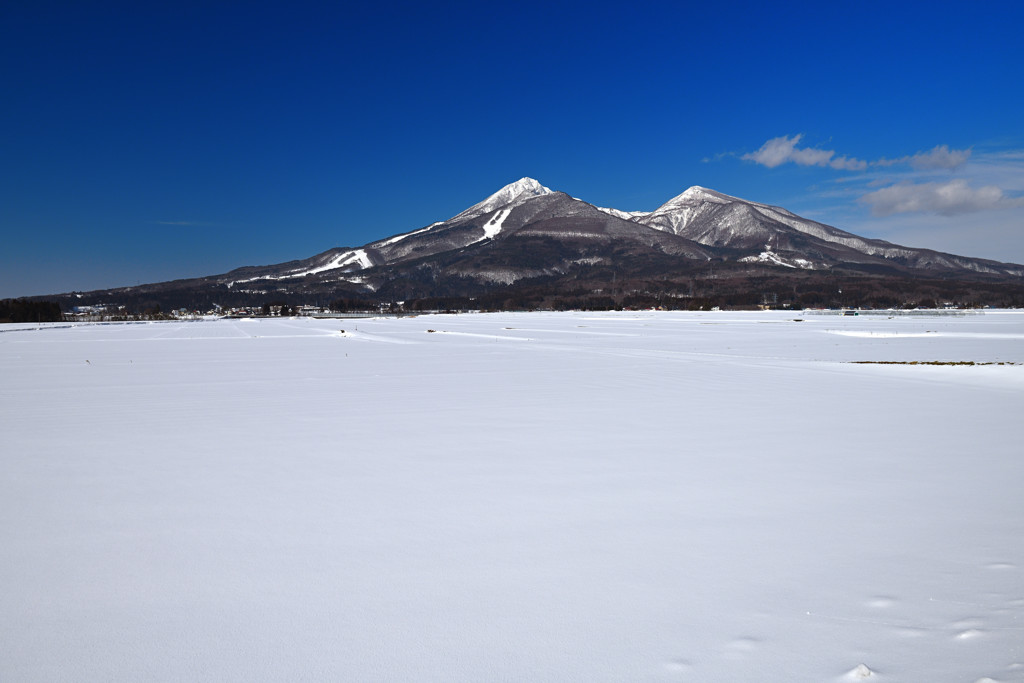 雪原