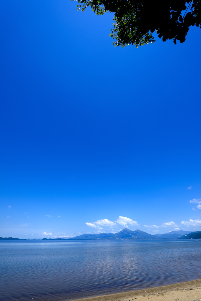 爽やかな木陰