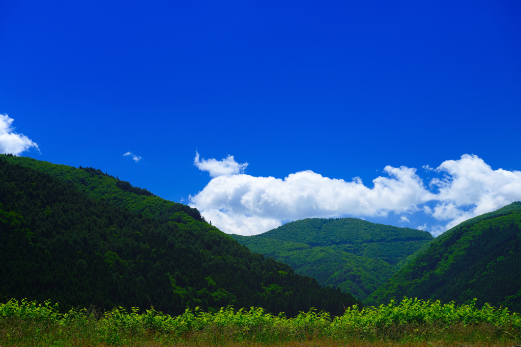 青空