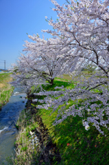 水と緑と…