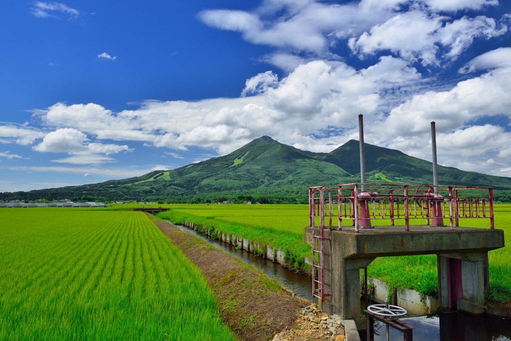 実りの水門