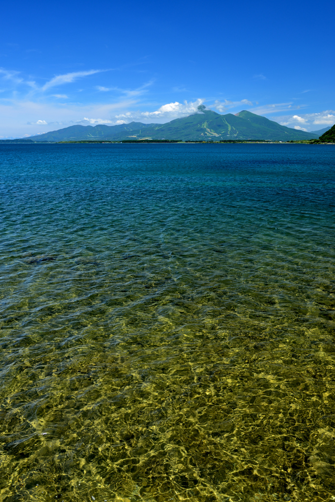 風が顕す金色の湖底
