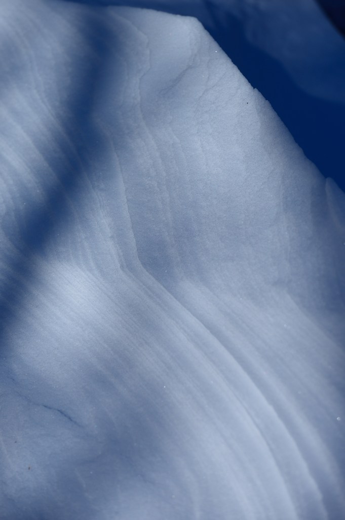 雪紋