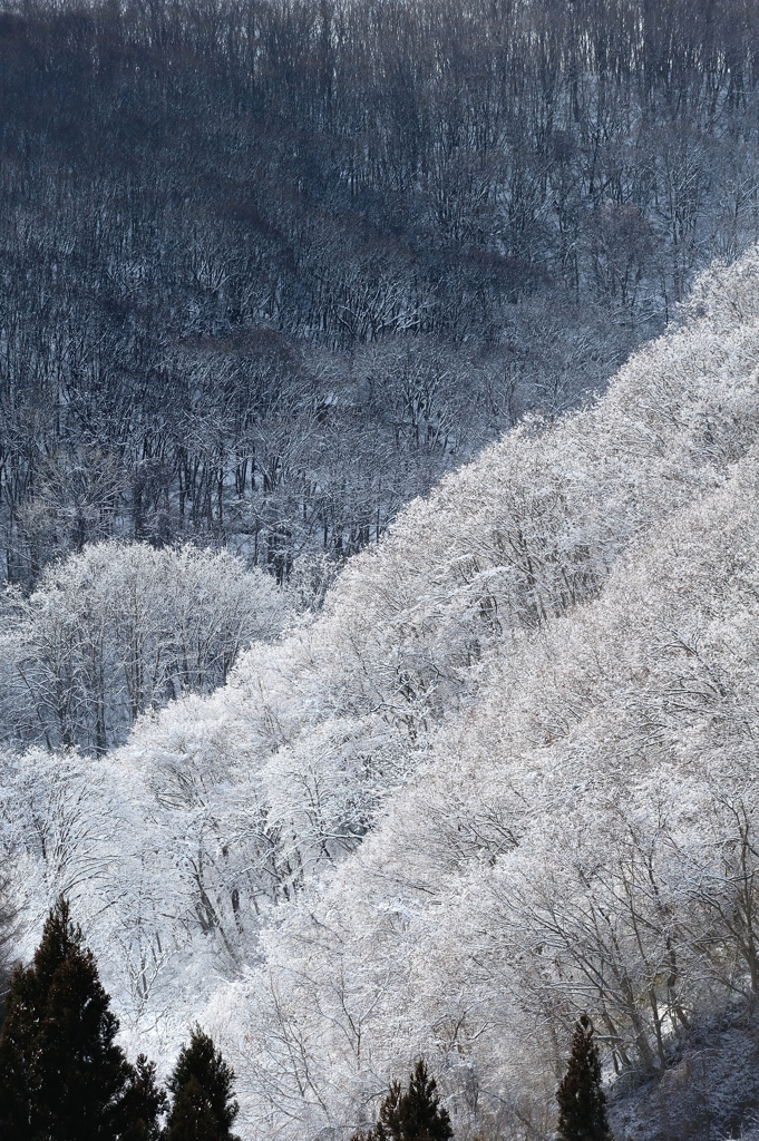 ようやく訪れた降雪期