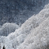 ようやく訪れた降雪期