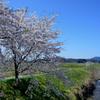 田園