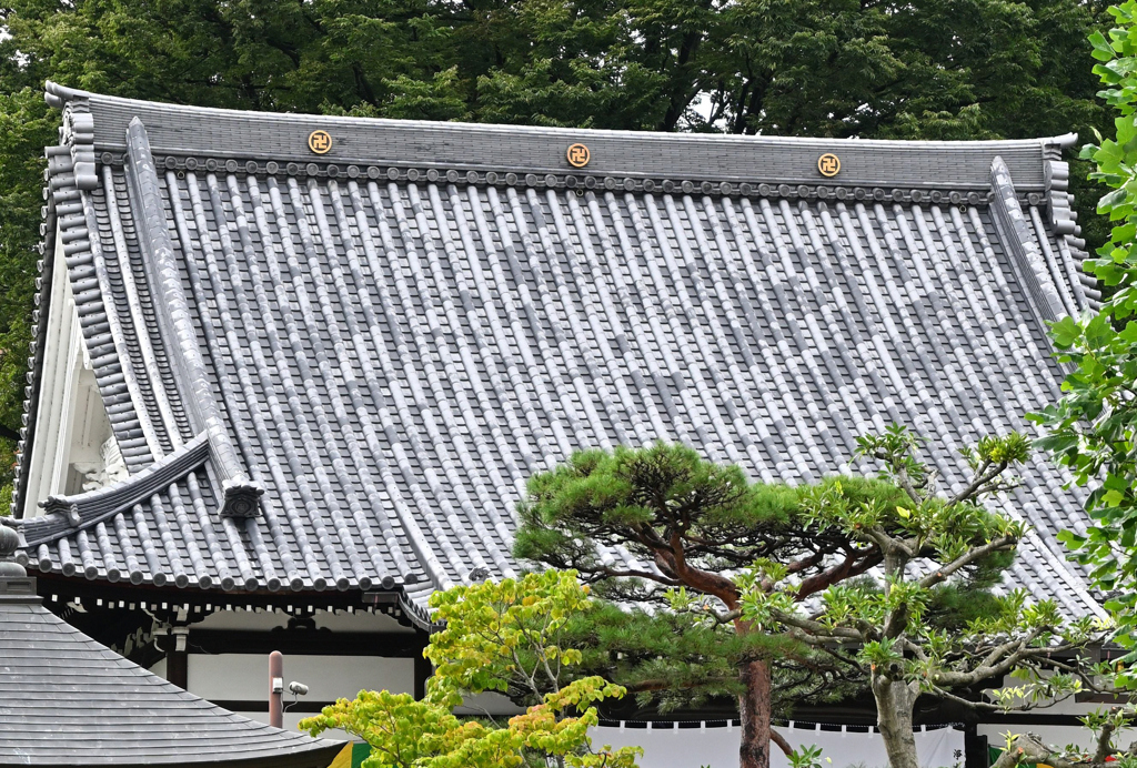 屋根