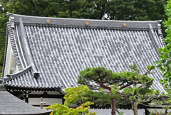 屋根