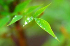 雨滴