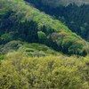 陽光と陰影