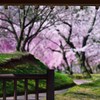 春華亭より