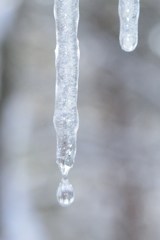 雫