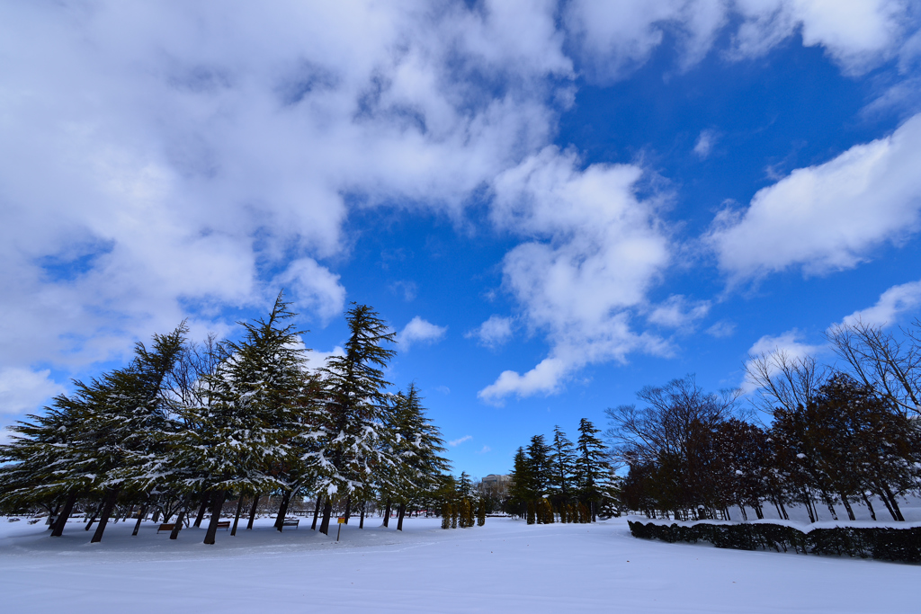雪雲去りて