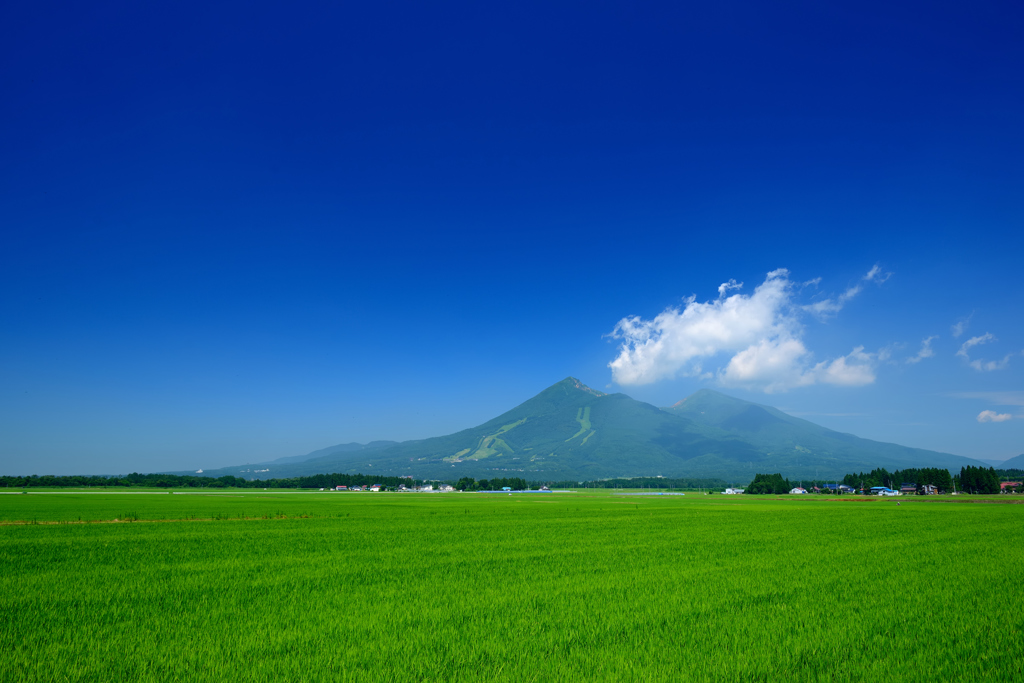 田園