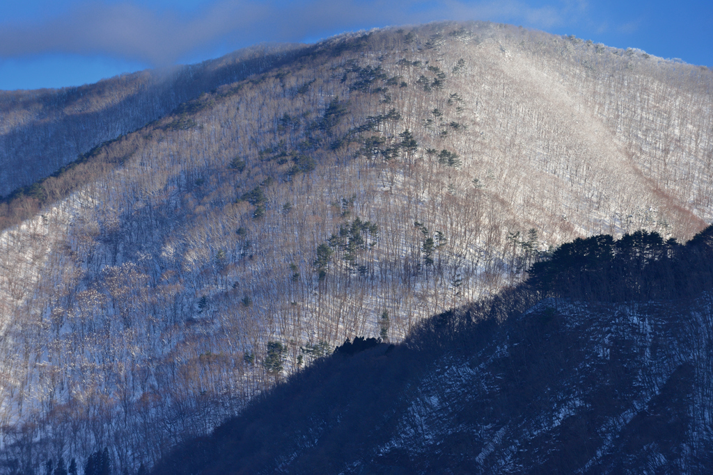 里山