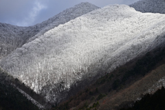 雪山⑦