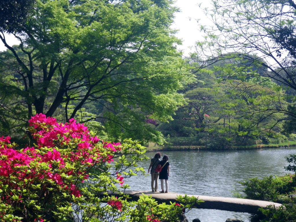 ツツジと橋