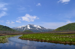 青と緑と白、ときどき黒。