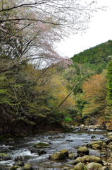 春の渓