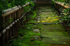 kokutaiji temple a stone paved road