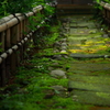 kokutaiji temple a stone paved road