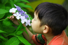 This flower smells nice