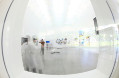 Peter McDonald : Visitor