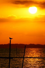 霞ヶ浦　夕景