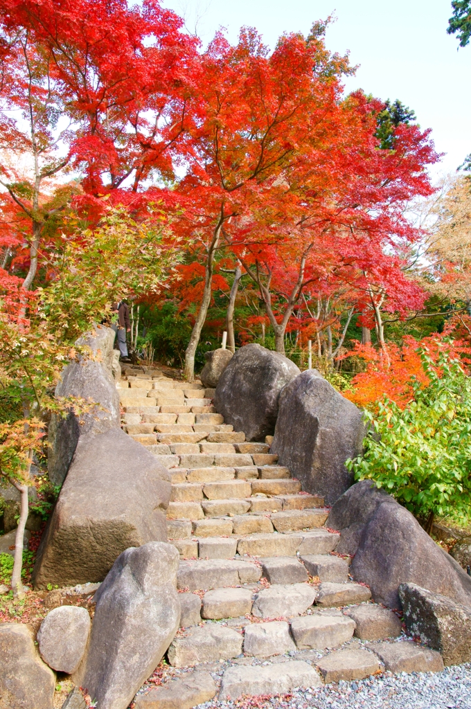 晩秋への誘い
