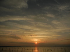 夕日