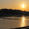 蓮田の夕映え