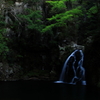 白流Ⅱ