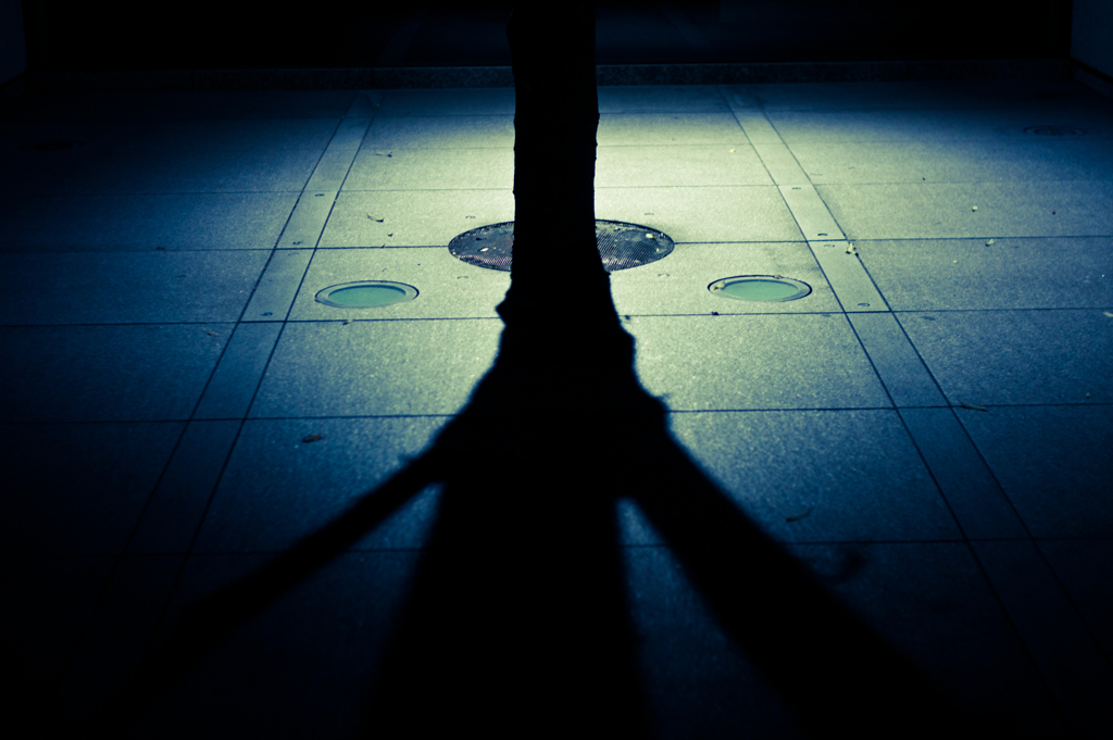 shadow...