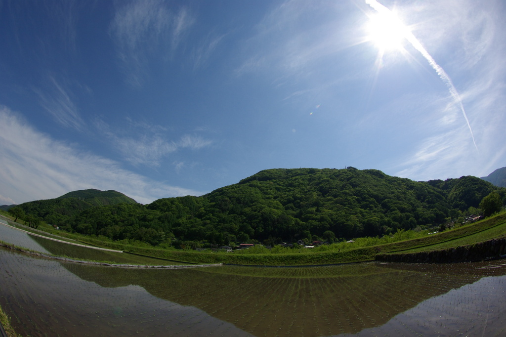 田植え日和