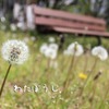 わたぼうし