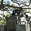 SKY TRAK
