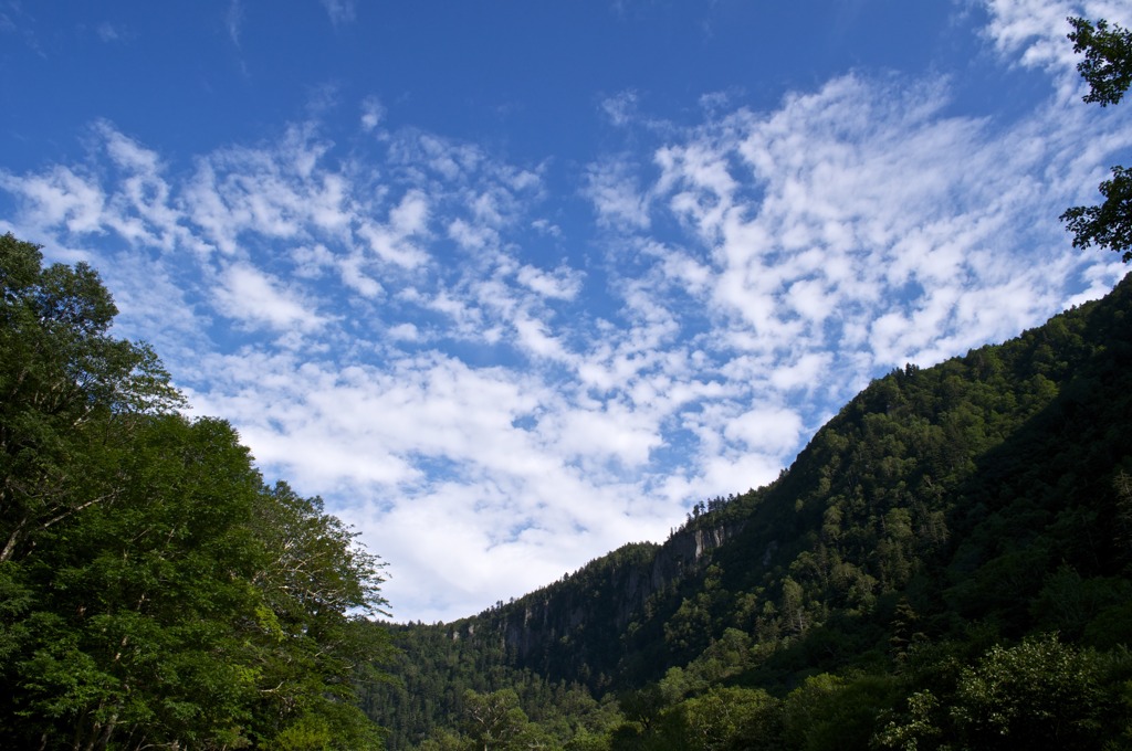 巻積雲