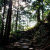 熊野古道残照