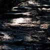 熊野古道残照