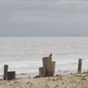 海岸にて