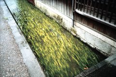 近江五箇荘にて　（トイカメラ）