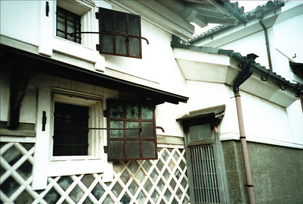 近江五箇荘にて　（トイカメラ）