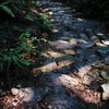 熊野古道残照