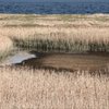 海岸にて