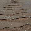 流跡