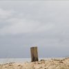 海岸にて