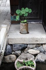 近江五箇荘にて